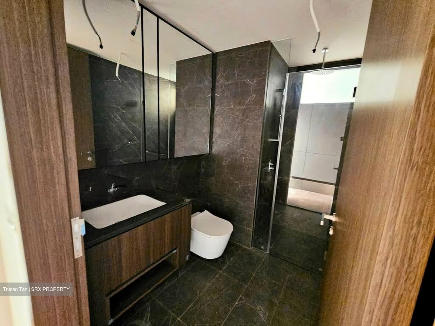 Kopar At Newton (D9), Apartment #592803721